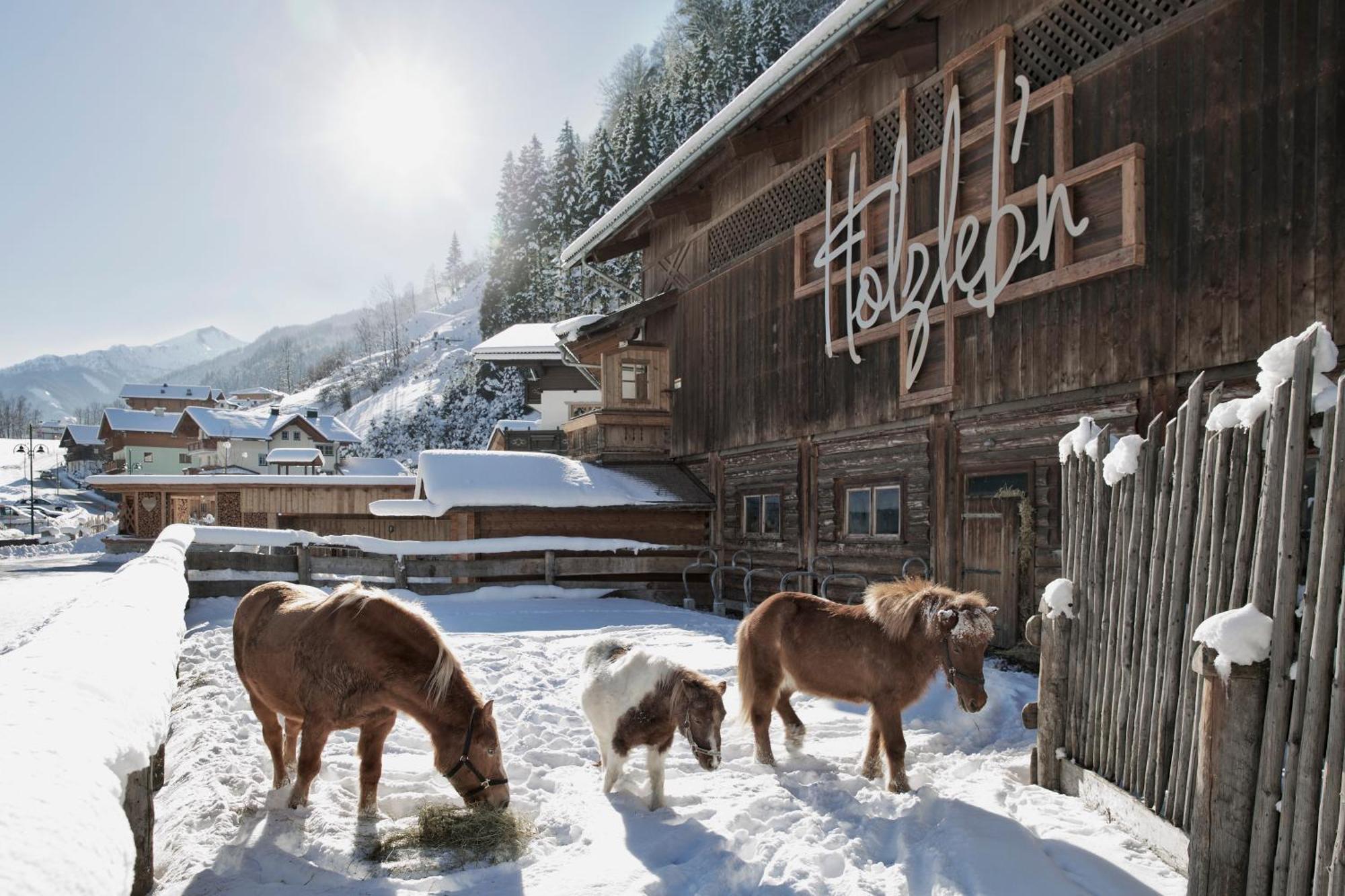 Feriendorf Holzlebn Гросарль Екстер'єр фото